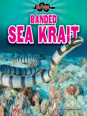 cover image of Banded Sea Krait